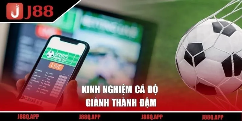 Kinh nghiệm cá độ giành thành đậm