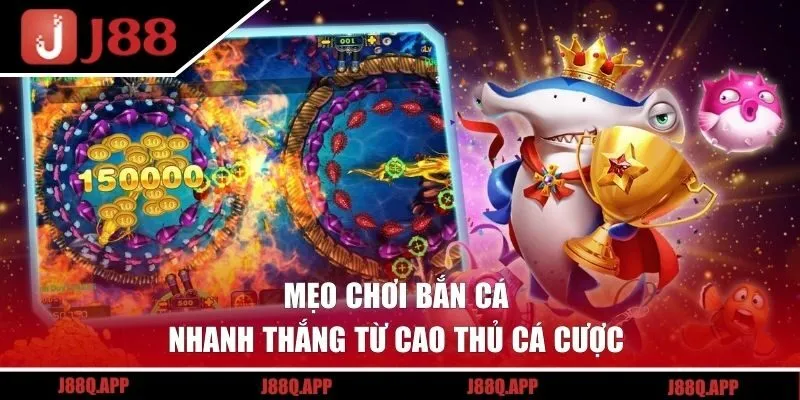 Mẹo chơi bắn cá nhanh thắng từ cao thủ cá cược 