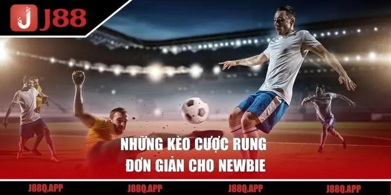Những kèo cược rung đơn giản cho newbie