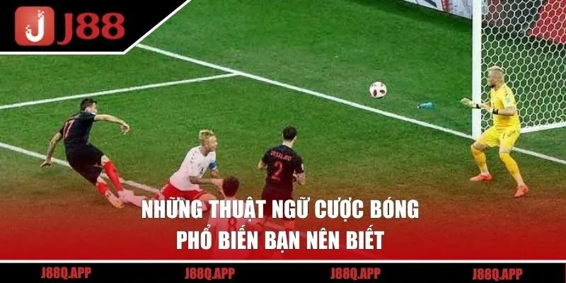 Những thuật ngữ cược bóng phổ biến bạn nên biết 