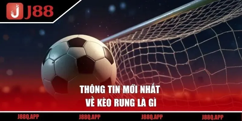 Thông tin mới nhất về kèo rung là gì